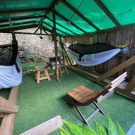 Les Hamacs Aux Saintes Hotel Terre-De-Haut Eksteriør billede