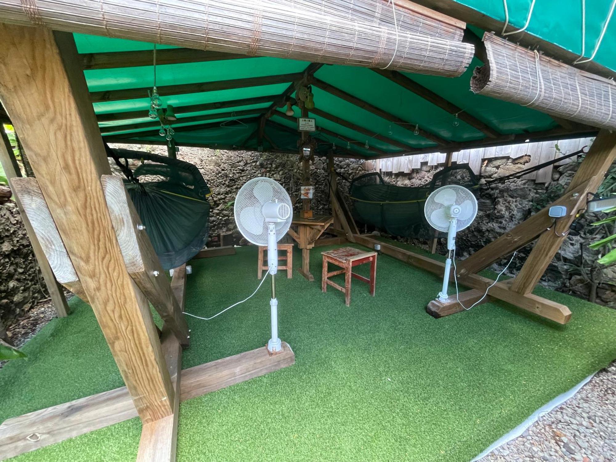 Les Hamacs Aux Saintes Hotel Terre-De-Haut Eksteriør billede