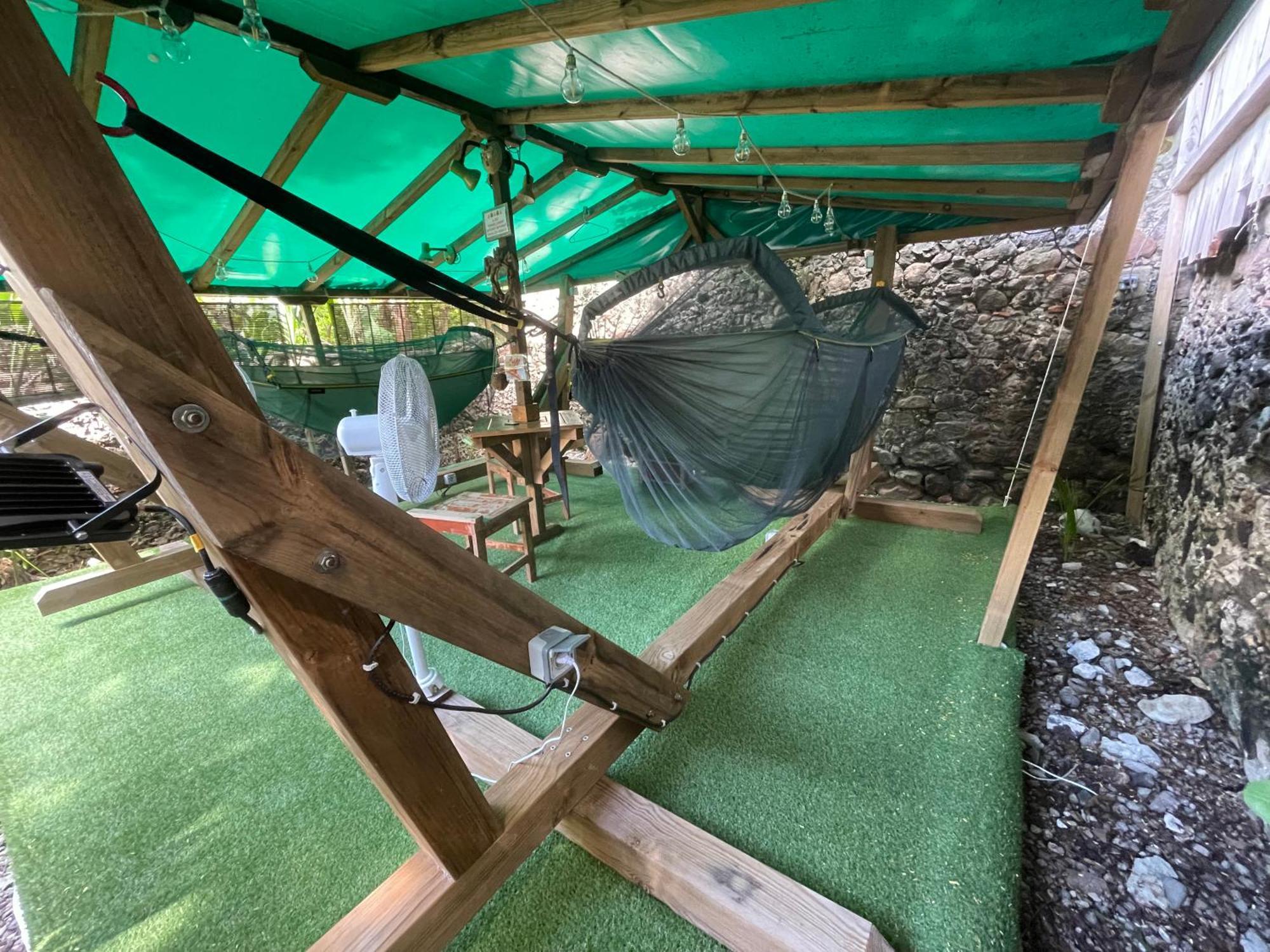 Les Hamacs Aux Saintes Hotel Terre-De-Haut Eksteriør billede